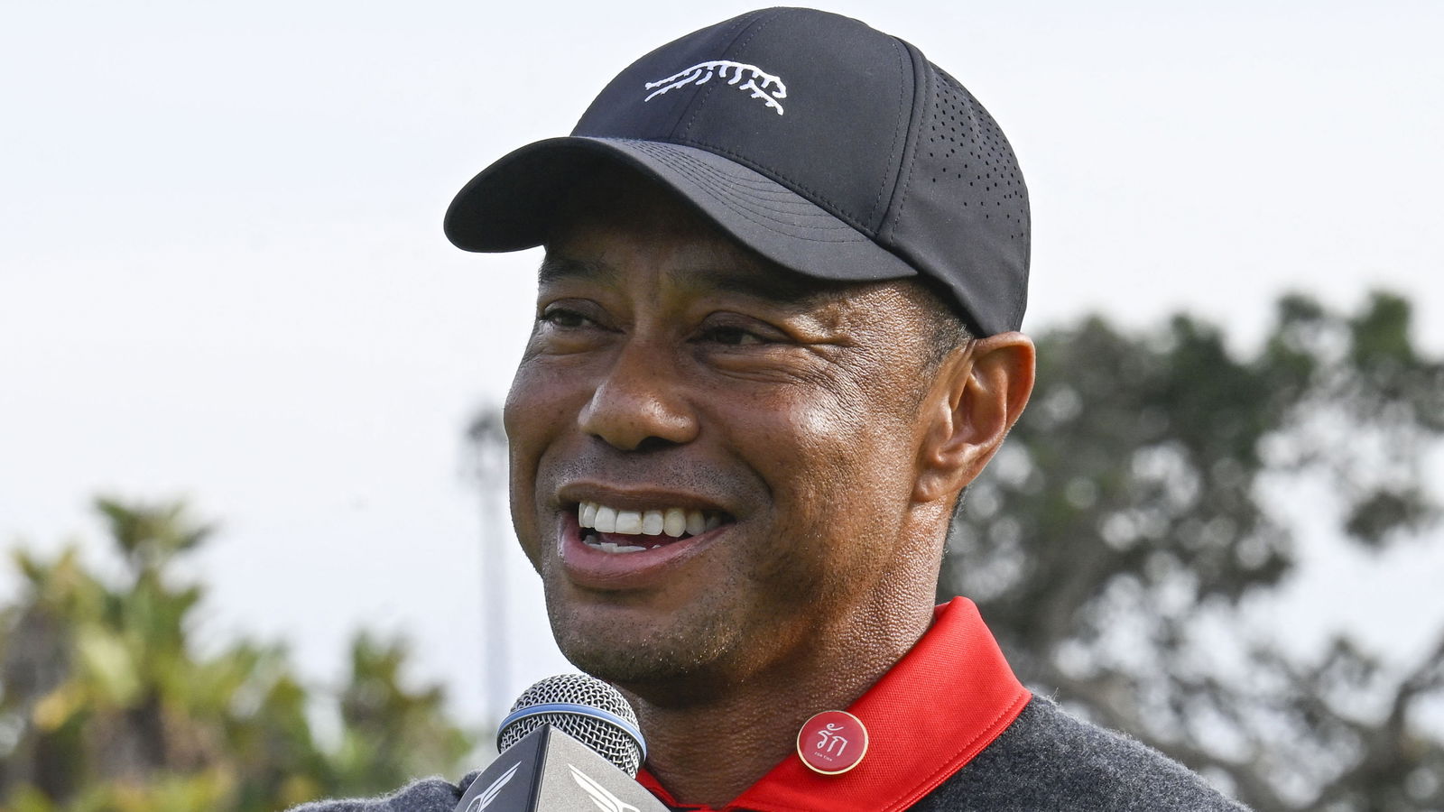 Tiger Woods